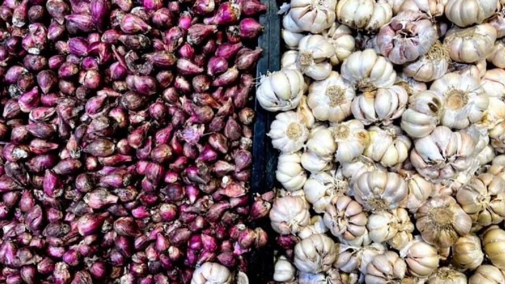 Wamentan: Bawang Putih Masuk Peta Jalan Swasembada 2029