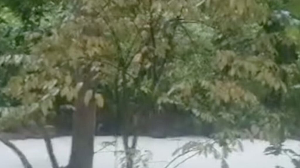 Data dan Angka di Kasus Sungai Cisadane Tercemar Pestisida