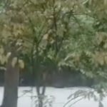 Data dan Angka di Kasus Sungai Cisadane Tercemar Pestisida